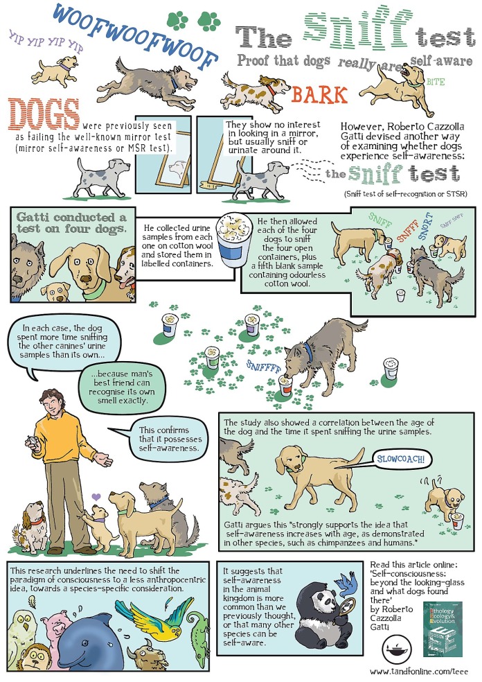 sniff test poster